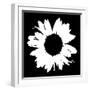 Black And White Abstract Daisy II-Ruth Palmer-Framed Art Print