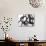 Black and White Abstract Painting 3-Jaime Derringer-Mounted Giclee Print displayed on a wall