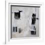 Black and White and in Between-Karen Hale-Framed Art Print