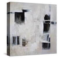 Black and White and in Between-Karen Hale-Stretched Canvas