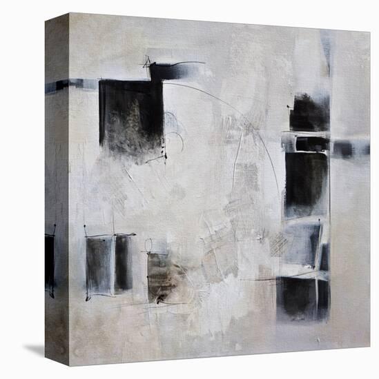 Black and White and in Between-Karen Hale-Stretched Canvas