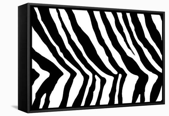 Black And White Animal Print-Willee Cole-Framed Stretched Canvas