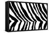 Black And White Animal Print-Willee Cole-Framed Stretched Canvas