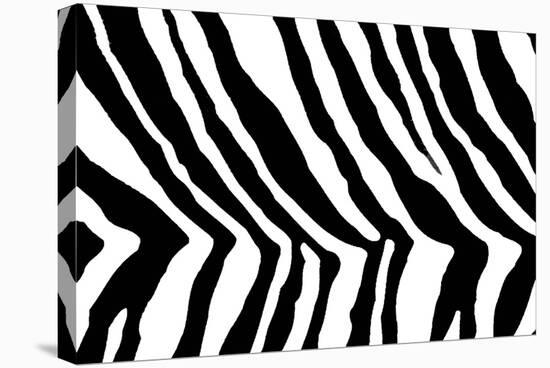 Black And White Animal Print-Willee Cole-Stretched Canvas