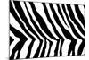 Black And White Animal Print-Willee Cole-Mounted Art Print