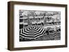 Black and White Beach Umbrellas II-Grace Digital Art Co-Framed Photographic Print