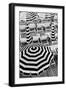 Black and White Beach Umbrellas-Grace Digital Art Co-Framed Photographic Print