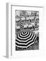 Black and White Beach Umbrellas-Grace Digital Art Co-Framed Photographic Print