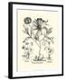 Black and White Besler Peony II-Besler Basilius-Framed Art Print