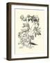 Black and White Besler Peony III-Besler Basilius-Framed Art Print