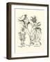 Black and White Besler Peony IV-Besler Basilius-Framed Art Print