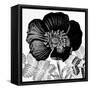 Black and White Bloom 2-Allen Kimberly-Framed Stretched Canvas