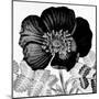 Black and White Bloom 2-Allen Kimberly-Mounted Art Print