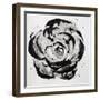 Black and White Bloom I-Sydney Edmunds-Framed Giclee Print