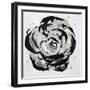 Black and White Bloom I-Sydney Edmunds-Framed Giclee Print