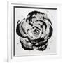 Black and White Bloom I-Sydney Edmunds-Framed Giclee Print