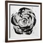 Black and White Bloom I-Sydney Edmunds-Framed Giclee Print