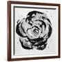 Black and White Bloom I-Sydney Edmunds-Framed Giclee Print