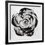 Black and White Bloom I-Sydney Edmunds-Framed Giclee Print