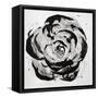 Black and White Bloom I-Sydney Edmunds-Framed Stretched Canvas