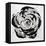 Black and White Bloom I-Sydney Edmunds-Framed Stretched Canvas