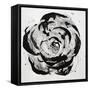 Black and White Bloom I-Sydney Edmunds-Framed Stretched Canvas