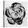 Black and White Bloom I-Sydney Edmunds-Stretched Canvas