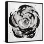 Black and White Bloom I-Sydney Edmunds-Framed Stretched Canvas