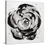 Black and White Bloom I-Sydney Edmunds-Stretched Canvas