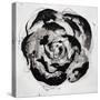 Black and White Bloom II-Sydney Edmunds-Stretched Canvas
