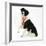 Black-And-White Border Collie Bitch Sitting, Wearing a First Prize Red Rosette-Mark Taylor-Framed Photographic Print