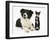 Black-And-White Border Collie Bitch, with Black-And-White Tuxedo Kitten, 10 Weeks-Mark Taylor-Framed Photographic Print