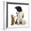 Black-And-White Border Collie Looking at Ginger Kitten-Mark Taylor-Framed Photographic Print