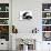 Black-And-White Border Collie Lying Chin on Floor with Black-And-White Kitten-Jane Burton-Photographic Print displayed on a wall