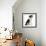 Black-And-White Border Collie, Phoebe, Raising Her Lame Paw-Mark Taylor-Framed Photographic Print displayed on a wall
