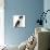 Black-And-White Border Collie, Phoebe, Raising Her Lame Paw-Mark Taylor-Mounted Photographic Print displayed on a wall