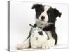 Black and White Border Collie Puppy and Baby Bunny-Mark Taylor-Stretched Canvas