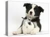 Black and White Border Collie Puppy and Baby Bunny-Mark Taylor-Stretched Canvas