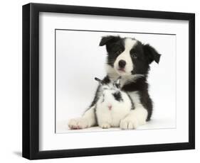 Black and White Border Collie Puppy and Baby Bunny-Mark Taylor-Framed Photographic Print