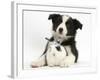 Black and White Border Collie Puppy and Baby Bunny-Mark Taylor-Framed Photographic Print