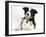 Black and White Border Collie Puppy and Baby Bunny-Mark Taylor-Framed Photographic Print