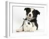 Black and White Border Collie Puppy and Baby Bunny-Mark Taylor-Framed Photographic Print