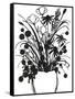 Black and White Bouquet 1-Filippo Ioco-Framed Stretched Canvas