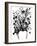 Black and White Bouquet 1-Filippo Ioco-Framed Art Print