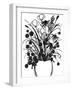 Black and White Bouquet 1-Filippo Ioco-Framed Art Print