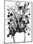 Black and White Bouquet 1-Filippo Ioco-Mounted Art Print