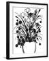 Black and White Bouquet 1-Filippo Ioco-Framed Art Print