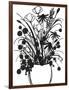 Black and White Bouquet 1-Filippo Ioco-Framed Art Print