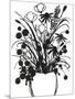 Black and White Bouquet 1-Filippo Ioco-Mounted Art Print