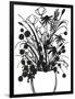 Black and White Bouquet 1-Filippo Ioco-Framed Art Print